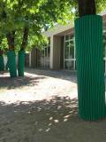 protezioni per alberi, protezioni antitrauma