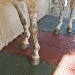 flooring for riding stables, flooring for stables