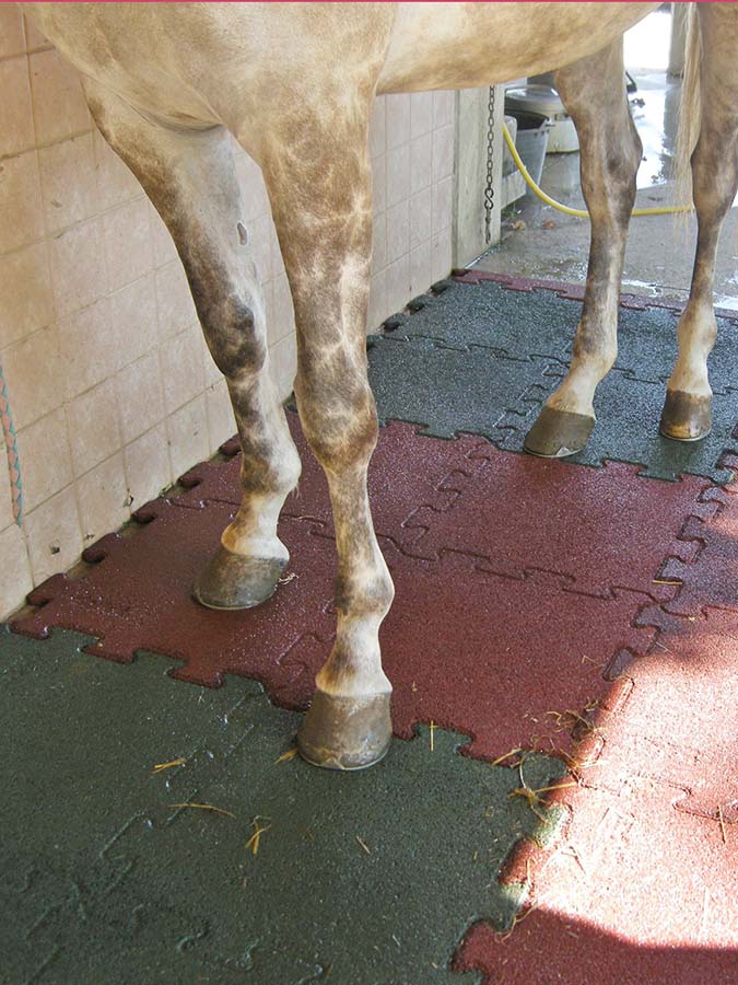 flooring for riding stables, flooring for stables