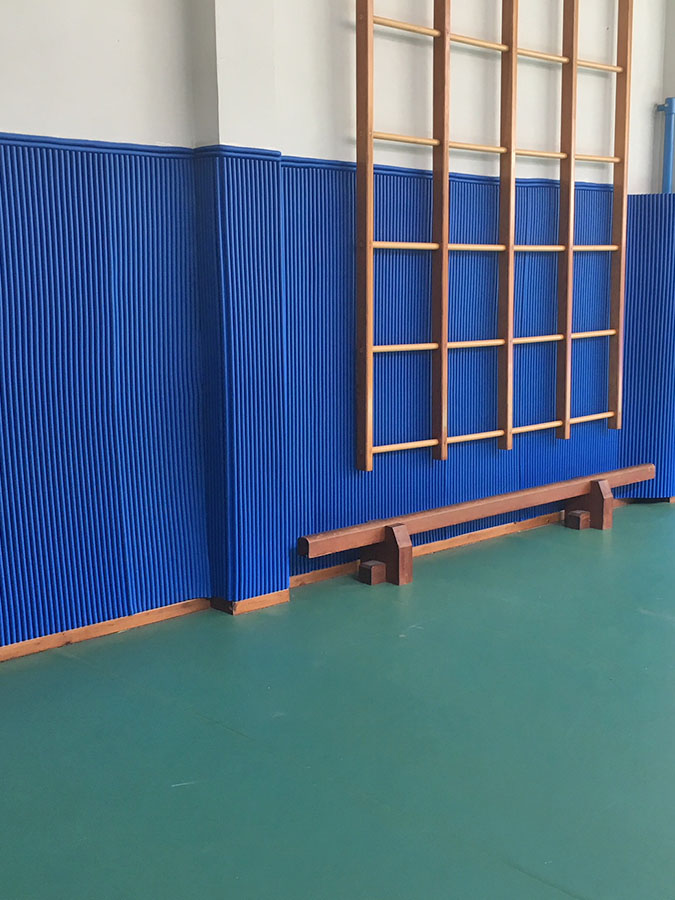 Wall protections, wall coverings sports facilities, Gymnasium wall protections