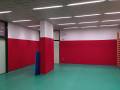 Wallmat protezione murale antitrauma Polietilene