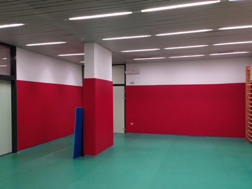 Wallmat protezione murale antitrauma Polietilene